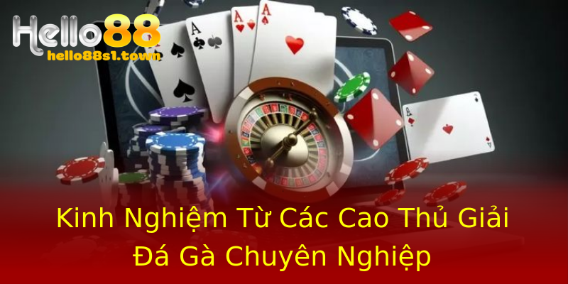 Kinh Nghiệm Từ Các Cao Thủ Giải Đá Gà Chuyên Nghiệp