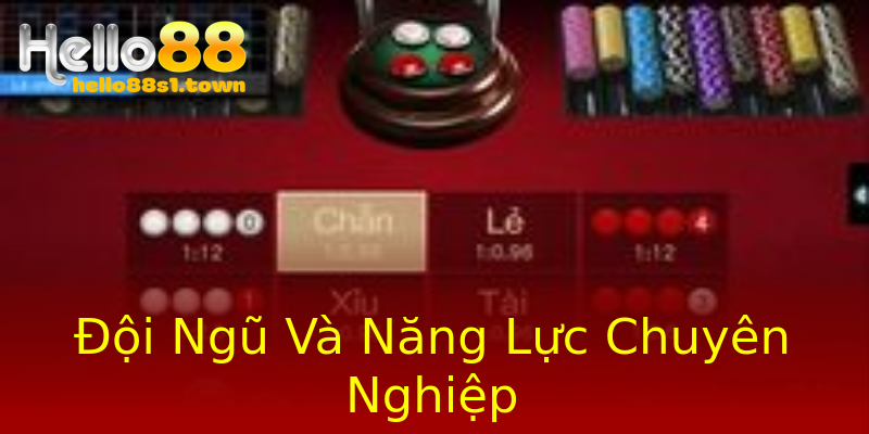 Đội Ngũ Và Năng Lực Chuyên Nghiệp