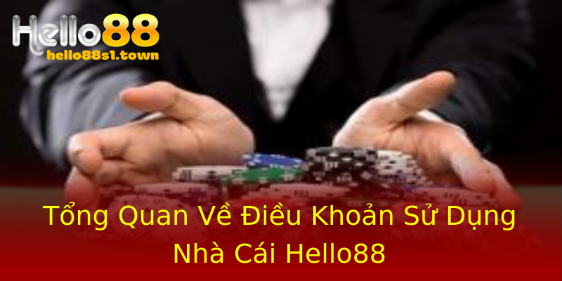 Tổng Quan Về Điều Khoản Sử Dụng Nhà Cái Hello88